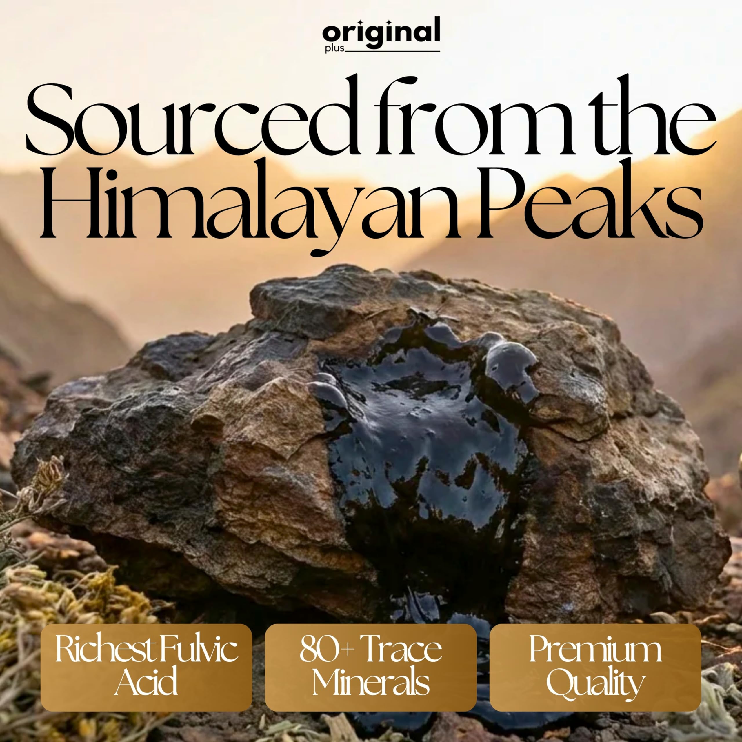 Original Plus Pure Himalayan Shilajit | 100% Pure Resin 30 G | 1000mg Potency
